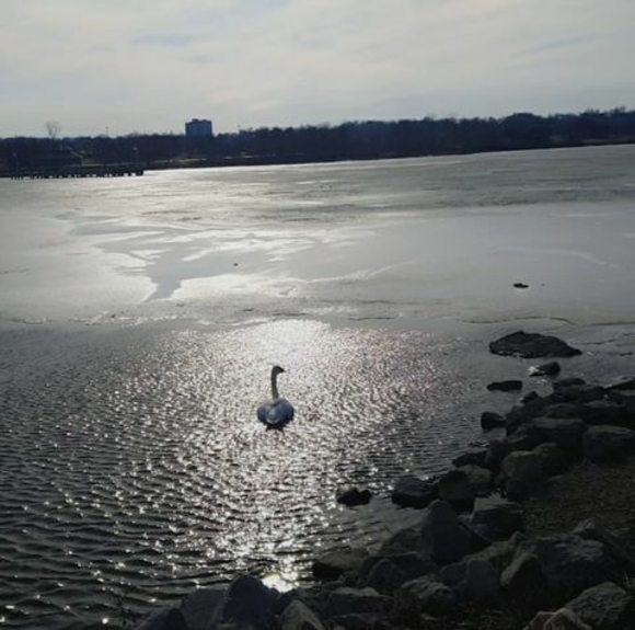 Meet your Posher, Jineen - Picture 1 of 1